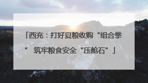 西充：打好夏粮收购“组合拳” 筑牢粮食安全“压舱石”