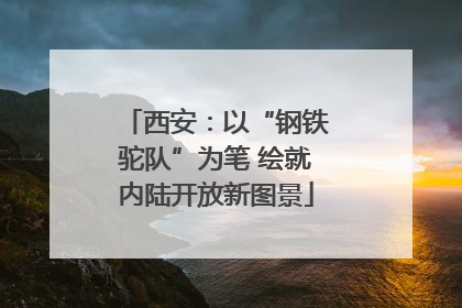 西安：以“钢铁驼队”为笔 绘就内陆开放新图景