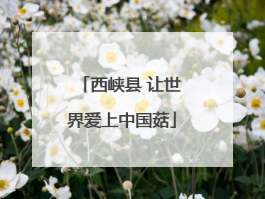 西峡县 让世界爱上中国菇