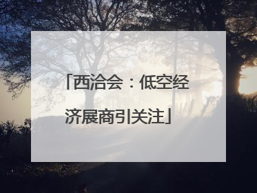西洽会：低空经济展商引关注