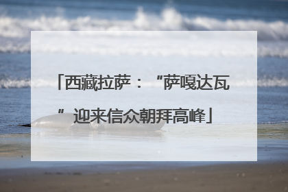 西藏拉萨：“萨嘎达瓦”迎来信众朝拜高峰