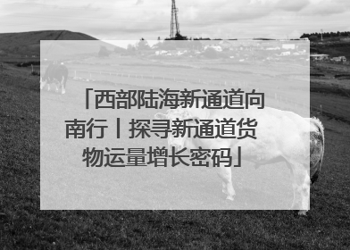 西部陆海新通道向南行丨探寻新通道货物运量增长密码