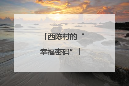 西陈村的“幸福密码”