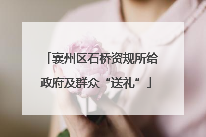 襄州区石桥资规所给政府及群众“送礼”