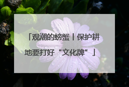 观潮的螃蟹丨保护耕地要打好“文化牌”