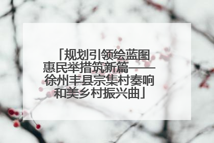 规划引领绘蓝图 惠民举措筑新篇——徐州丰县宗集村奏响和美乡村振兴曲