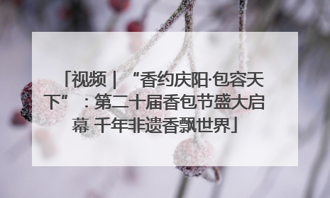 视频｜“香约庆阳·包容天下”：第二十届香包节盛大启幕 千年非遗香飘世界