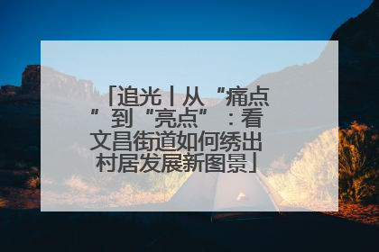 追光丨从“痛点”到“亮点”：看文昌街道如何绣出村居发展新图景