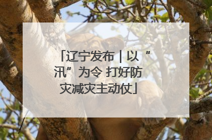 辽宁发布｜以“汛”为令 打好防灾减灾主动仗