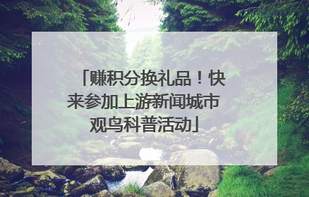 赚积分换礼品！快来参加上游新闻城市观鸟科普活动
