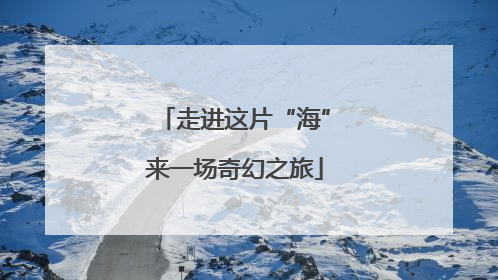走进这片“海”来一场奇幻之旅