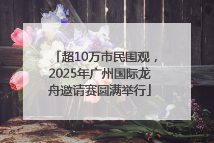 超10万市民围观，2025年广州国际龙舟邀请赛圆满举行
