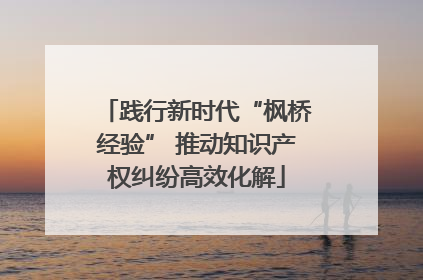 践行新时代“枫桥经验” 推动知识产权纠纷高效化解