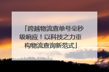 跨越物流查单号毫秒级响应！以科技之力重构物流查询新范式