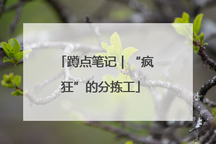 蹲点笔记｜“疯狂”的分拣工