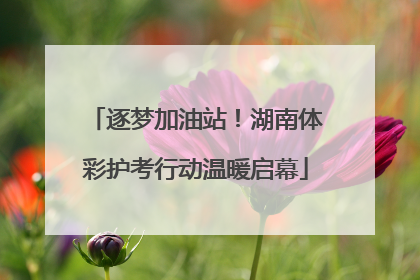 逐梦加油站！湖南体彩护考行动温暖启幕