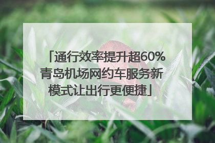 通行效率提升超60% 青岛机场网约车服务新模式让出行更便捷