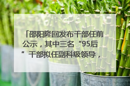 邵阳隆回发布干部任前公示，其中三名“95后”干部拟任副科级领导，均系硕士选调生