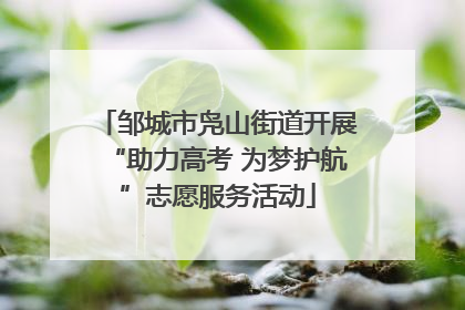 邹城市凫山街道开展“助力高考 为梦护航”志愿服务活动