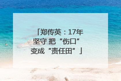 郑传英：17年坚守 把“伤口”变成“责任田”