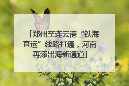 郑州至连云港“铁海直运”线路打通，河南再添出海新通道