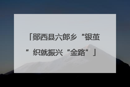 郧西县六郎乡“银茧”织就振兴“金路”