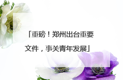 重磅！郑州出台重要文件，事关青年发展