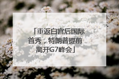 重返白宫后国际首秀，特朗普提前离开G7峰会