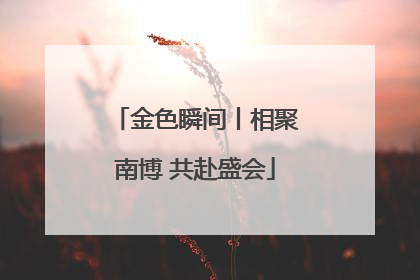 金色瞬间丨相聚南博 共赴盛会