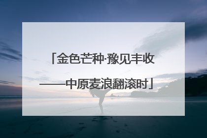 金色芒种·豫见丰收——中原麦浪翻滚时