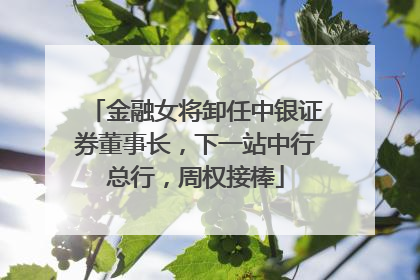 金融女将卸任中银证券董事长，下一站中行总行，周权接棒