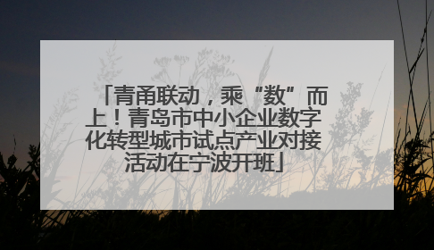 青甬联动，乘“数”而上！青岛市中小企业数字化转型城市试点产业对接活动在宁波开班