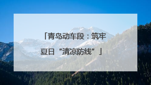 青岛动车段：筑牢夏日“清凉防线”