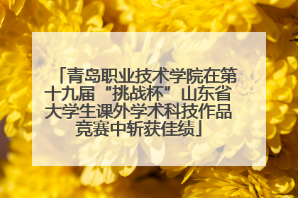 青岛职业技术学院在第十九届“挑战杯”山东省大学生课外学术科技作品竞赛中斩获佳绩