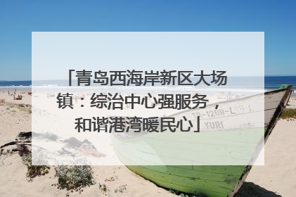 青岛西海岸新区大场镇：综治中心强服务，和谐港湾暖民心