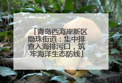 青岛西海岸新区隐珠街道：集中排查入海排污口，筑牢海洋生态防线