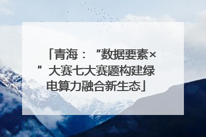 青海：“数据要素×”大赛七大赛题构建绿电算力融合新生态