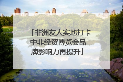 非洲友人实地打卡 中非经贸博览会品牌影响力再提升