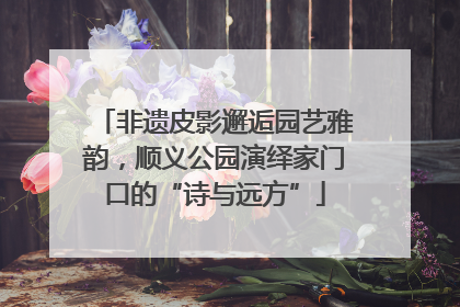 非遗皮影邂逅园艺雅韵，顺义公园演绎家门口的“诗与远方”