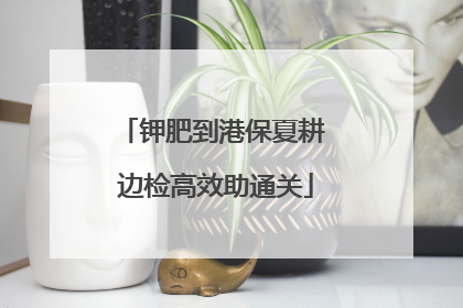 钾肥到港保夏耕 边检高效助通关