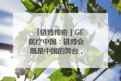 链博传奇｜GE医疗中国：链博会既是中国的舞台，也是世界的橱窗