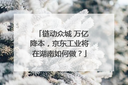 链动众城 万亿降本，京东工业将在湖南如何做？