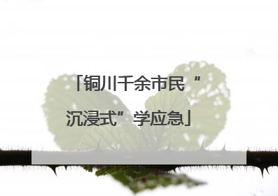 铜川千余市民“沉浸式”学应急