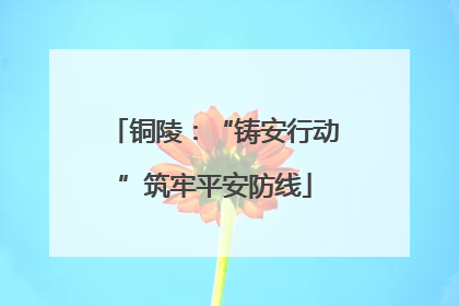 铜陵：“铸安行动”筑牢平安防线