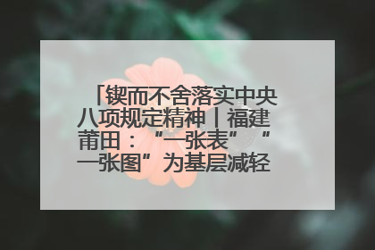 锲而不舍落实中央八项规定精神丨福建莆田：“一张表”“一张图”为基层减轻“数字负担”