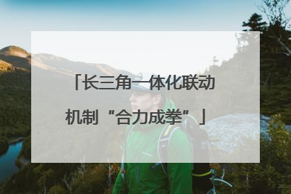 长三角一体化联动机制“合力成拳”