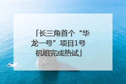 长三角首个“华龙一号”项目1号机组完成热试