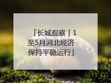 长城观察丨1至5月河北经济保持平稳运行