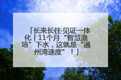 长来长往·见证一体化丨11个月“智慧渔场”下水，这就是“通州湾速度”！