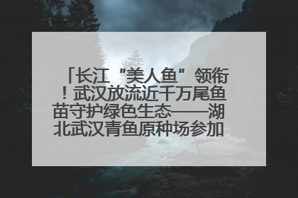 长江“美人鱼”领衔！武汉放流近千万尾鱼苗守护绿色生态——湖北武汉青鱼原种场参加2025年“全国放鱼日”增殖放流活动